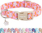 Faygarsle Floral Dog Collar, Pink and Orange Pattern with White Flowers, Spring Summer Design for Small Medium Large Dogs XS