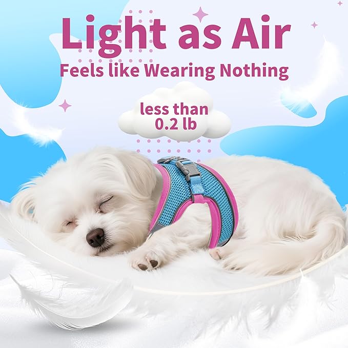 AIITLE Comfortable Dog Harness and Leash Set for Walking - Step in Vest Harness,Reflective Bands, Adjustable No Pull Puppy Essentials, for Small Dogs and House Cats Hot Pink XS
