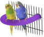 RYPET Parrot Perch Rough-surfaced - Quartz Sands Bird Cage Perches for Medium to Large Bird, U Shape Purple Small