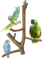Bird Perch Stand, Natural Vitex Negundo Wood Parrot Perch Bird Cage Branch Perch, Accessories for Parakeets, Cockatiels, Conures, Macaws, Finches, Lovebirds (12" Length)