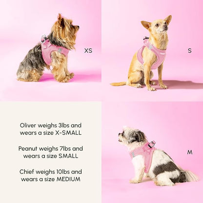 Downtown Pet Supply Step in Dog Harness for Large Dogs - Adjustable, Escape Proof Dog Harness with Reflective Trim - All-Weather, Fast-Drying Padded Mesh Fabric - Tangerine, Small