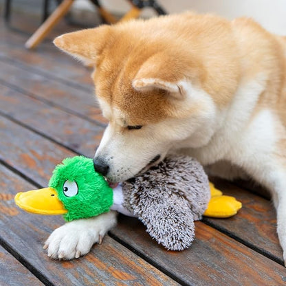 Best Pet Supplies Interactive Squeaky Dog Chew Toy, Ideal Dog Toys for Chewers, Small, Medium & Large Dogs, and Fetch Lovers - Mallard Duck (Gray), Small
