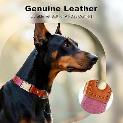 Plutus Pet Genuine Leather & Hemp Dog Collar – Adjustable Heavy Duty Pet Collar with Quick Release Metal Buckle, Soft & Stylish for Puppy and Small, Medium, Large Dogs (Pink, L)