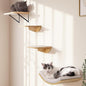 Cat Wall Shelves and Cats Window Perch – Natural Wood 4-Piece Set with Foam-Padded Curved Bed and Felt Steps, Space-Saving Wall Mounted Design
