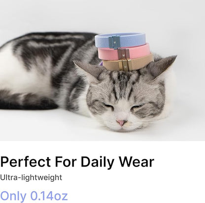 Safety Cat Collar - U.S. IDA Gold Awarding Design, Elastic Quick Release, Non Breakaway - Lightweight for Kitten, Neck Fit 5.9'-11.8' for All Small Large Cat,S(Sunshine)