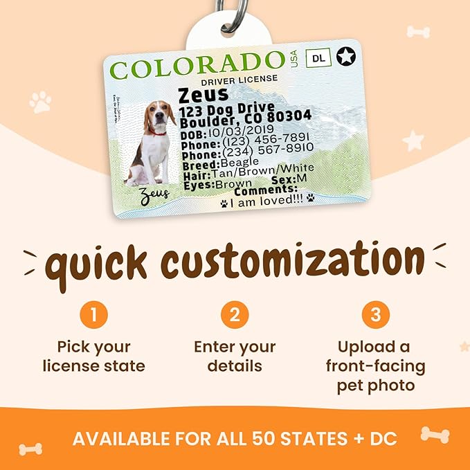 PawFurEver Personalized Dog Driver License ID Tag for Dogs & Cats - Custom Pet License Dog ID Tags Personalized Heavy Duty with Name, Photo & Phone Number, 50 States + DC (Washington, Tag)