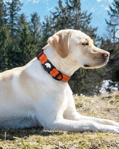 Joytale Airtag Dog Collar, Reflective Pet Collar with Waterproof AirTag Holder, Dual D-Rings, Soft Padded Adjustable for Medium Dogs, Orange, M