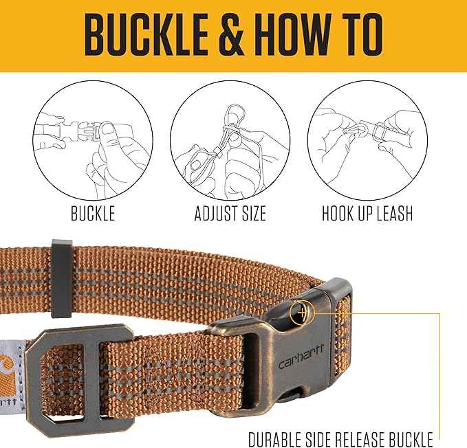 Carhartt Fully Adjustable Nylon Webbing Collars for Dogs, Reflective Stitching for Visibility, Hunter Orange (Nylon Webbing), Large