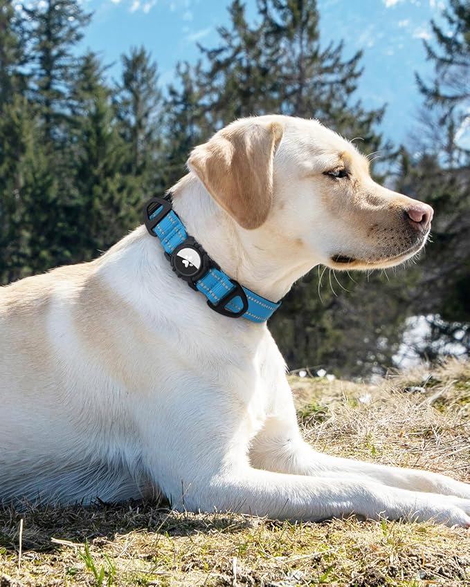 Joytale Airtag Dog Collar, Waterproof Dual D-Rings, Reflective Pet Collar with AirTag Holder, Soft Padded Adjustable for Medium Dogs, SkyBlue, M