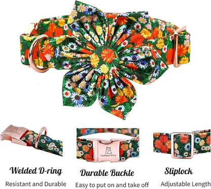 Lionheart Glory Floral Dog Collar - Adjustable, X-Large, Cute Floral Pattern