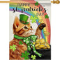 Dyrenson Happy St Patricks Day Orange Cat 28 x 40 House Flag Double Sided, Pet Rainbow Pot of Gold Garden Yard Decoration, Spring Irish Shamrock Clover Burlap Outdoor Decor Decorative Large Flag