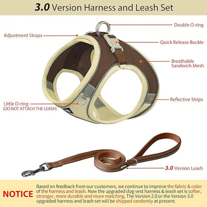 AIITLE Comfortable Dog Harness and Leash Set for Walking - Step in Vest Harness,Reflective Bands, Adjustable No Pull Puppy Essentials, for Small Dogs and House Cats Beige XS