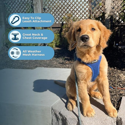 Best Pet Supplies Voyager Step-in Air Harness - All Weather Mesh, Reflective, No Pull Harness for Dogs, Cats - Secure with Hook & Loop Fastener, Buckle, Double D-Rings - Royal Blue, XXS