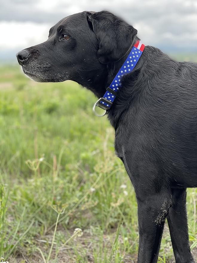 Native Pup American Flag Dog Collar- Red White and Blue- Patriotic Collars for 4th of July, USA- Adjustable Small, Medium, Large Breed Dogs (Small, Flag I)