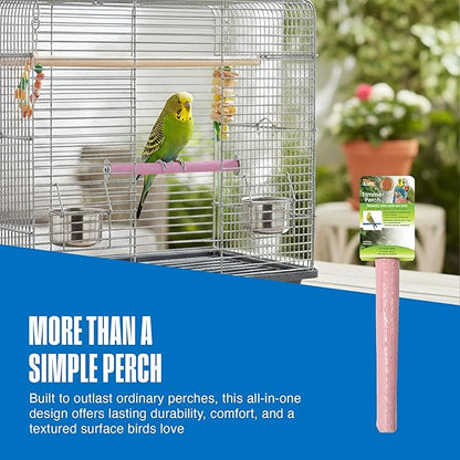 Penn-Plax Bird-Life Cement Trimmer-Perch, Naturally Trims Nails & Beak - Easy-Mounting Bird Perch Stand for Cages - Great for Parrots, Cockatoos, Macaws, Medium & Large Birds - Purple, 10 Inch