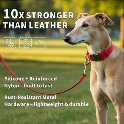 Silicone Dog Collar and Leash Set, Waterproof & Odor-Proof Puppy Collar for Small Dogs, Soft Flexible Leather-Look Dog Collars, Durable Thick Adjustable Pet Collar (Red, Small (9-14" Neck))
