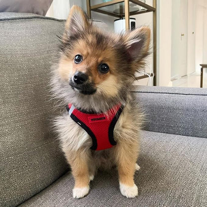 Best Pet Supplies Voyager Step-in Air Harness - All Weather Mesh, Reflective, No Pull Harness for Dogs, Cats - Secure with Hook & Loop Fastener, Buckle, Double D-Rings - Red/Black Trim, XS