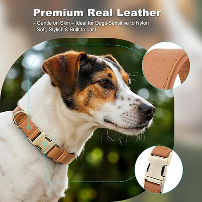 Plutus Pet Genuine Leather Dog Collar – Adjustable Pet Collar with Quick Release Metal Buckle, Soft Real Leather for Small Medium Large Dogs, Heavy Duty & Skin-Friendly (Light Brown, XS)