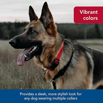 Coastal Pet SecureAway Collar Protector for Flea Collars - Adjustable pet Accessory - Protective Flea Collar for Dogs & Puppy - Multi Bones, 5/8" x 10-14"