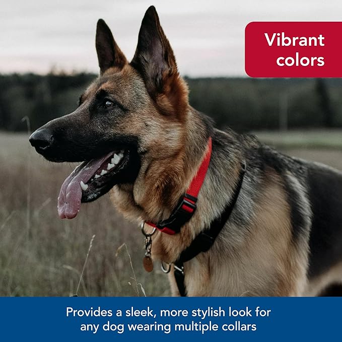 Coastal Pet SecureAway Collar Protector for Flea Collars - Adjustable pet Accessory - Protective Flea Collar for Dogs & Puppy - Black, 5/8" x 10-14"