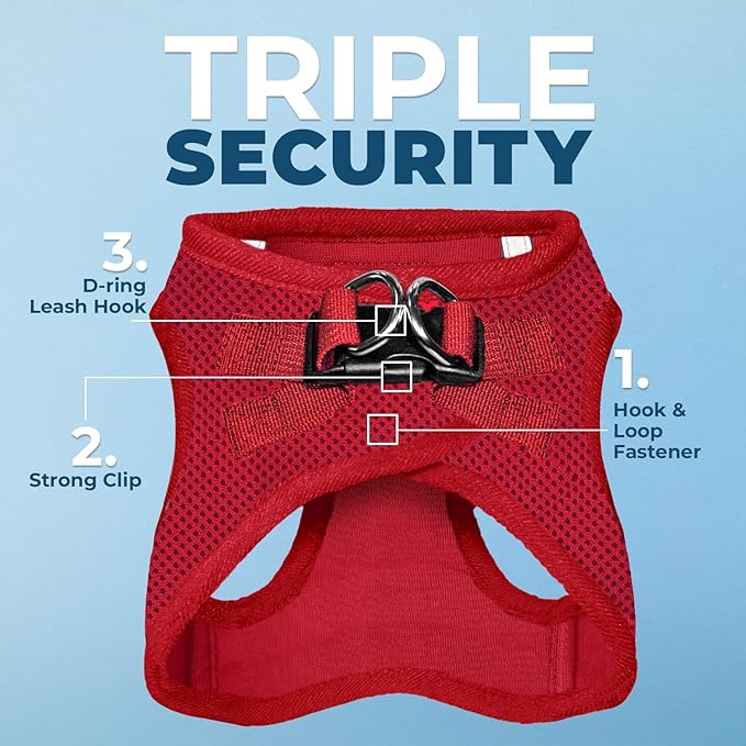 Best Pet Supplies Voyager Step-in Air All Weather Mesh Harness and Reflective Dog 5 ft Leash Combo with Neoprene Handle, for Small, Medium and Large Breed Puppies - Set (Red), M (Chest: 16-18")