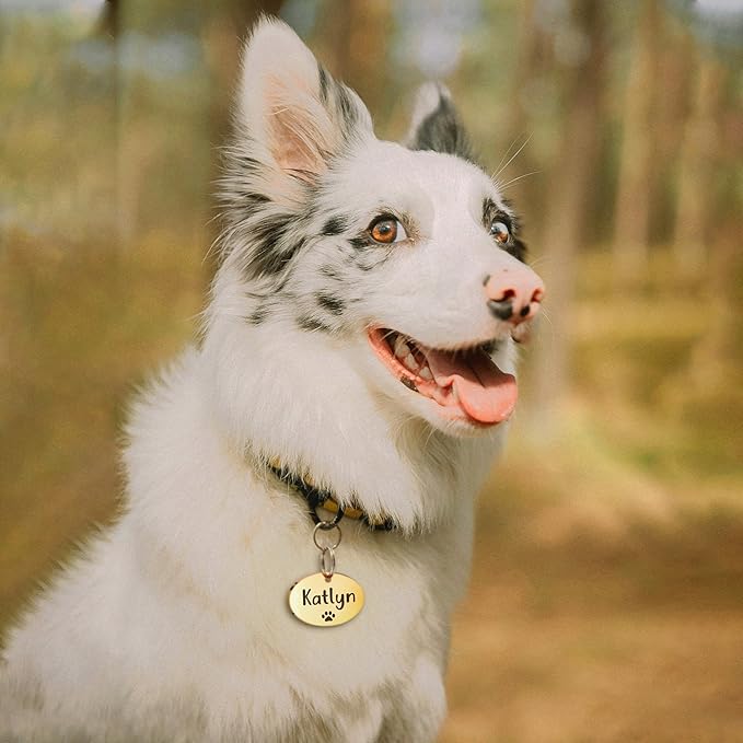 Anavia Small Size Dog Cat ID Tags, Small/XS Personalized Color Plated Stainless Steel Puppy Kitten Name Tags, Customized Engraved Nameplate Pet Collar Tag (Rose Gold, Oval)
