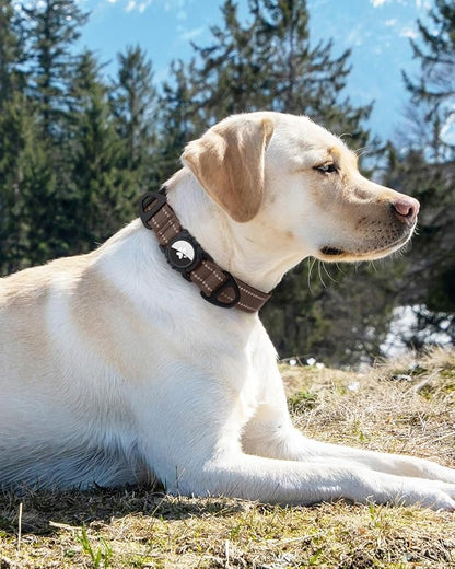 Joytale Airtag Dog Collar, Reflective Pet Collar with Waterproof AirTag Holder, Dual D-Rings, Soft Padded Adjustable for Large Dogs, Brown, L