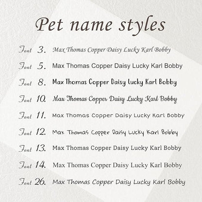 Anavia Slide On Silent Pet ID Tags, S/M/L/XL Personalized Black Stainless Steel Colored Silicone Cat Dog Name Tag, Customized Engraved Nameplate, Quiet Chew-Proof Pet Collar Tag (Blue, Small)