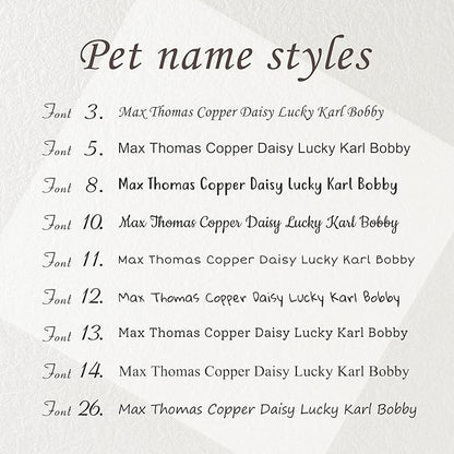 Anavia Slide On Silent Pet ID Tags, S/M/L/XL Personalized Black Stainless Steel Colored Silicone Cat Dog Name Tag, Customized Engraved Nameplate, Quiet Chew-Proof Pet Collar Tag (White, Small)