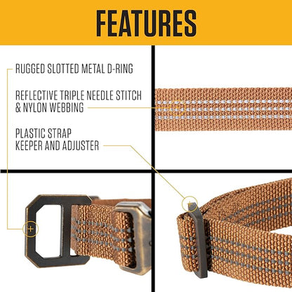 Carhartt Fully Adjustable Nylon Webbing Collars for Dogs, Reflective Stitching for Visibility, Black (Nylon Webbing), Large