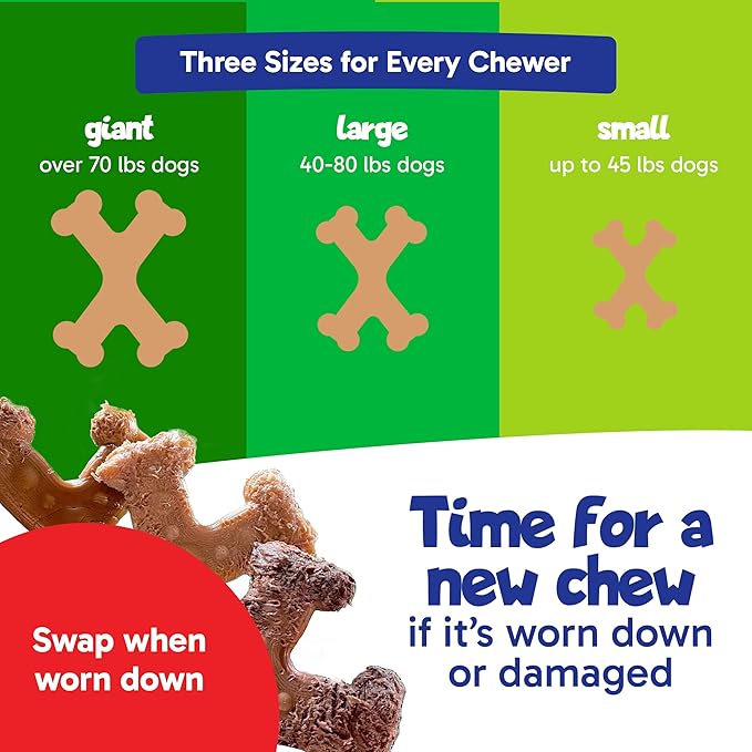 Chew’EMS X Bone Dog Chew Toy for Aggressive Chewers – Long-Lasting Chicken Flavor Nylon Bone – Durable, Rawhide-Free Dental Toy - Small Size – Made in USA