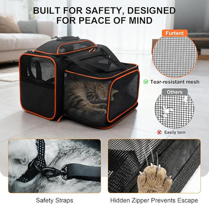 TSA Approved Expandable Cat Carrier with Top and Side, 16x11x11 Soft-Sided Pet Carrier for Small Cats and Dogs, Foldable Travel Carrier with Anti-Scratch Mesh and Safety Belt, Black