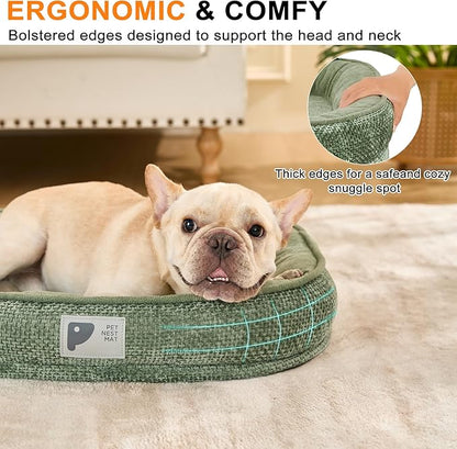 Orthopedic Cat Bed for Puppy & Kitten,Cat Sofa Bed with Egg Crate Foam Four Sided Dog Couch Beds with Removable Cover & Non-Slip Bottom Green XS