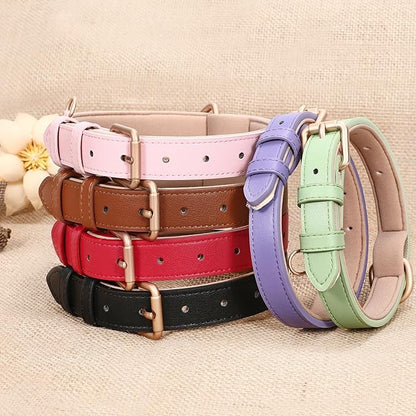 WHIPPY Leather Dog Collar for Small Medium Large Dog Adjustable Soft Breathable Leather Padded Puppy Collar with Alloy Buckle Heavy Duty Waterproof Classic Dog Pet Collar,Green,M