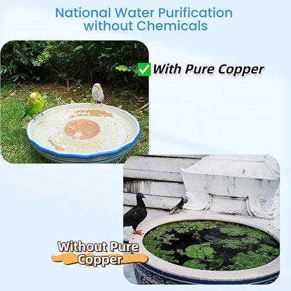 Bird Bath Purification Disk,99.99% Copper Disc for Bird Bath Copper Disk Cleaner Safe for Outside Birds Fountain Disc Accessories, Fit for Outdoor Birdbath Bowl(1 pcs)