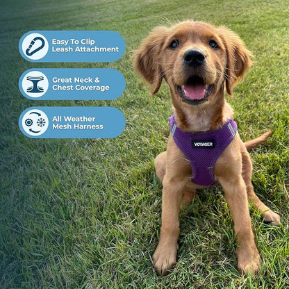 Best Pet Supplies Voyager Step-in Air All Weather Mesh Harness and Reflective Dog 5 ft Leash Combo with Neoprene Handle, for Small, Medium and Large Breed Puppies - Set (Purple), L