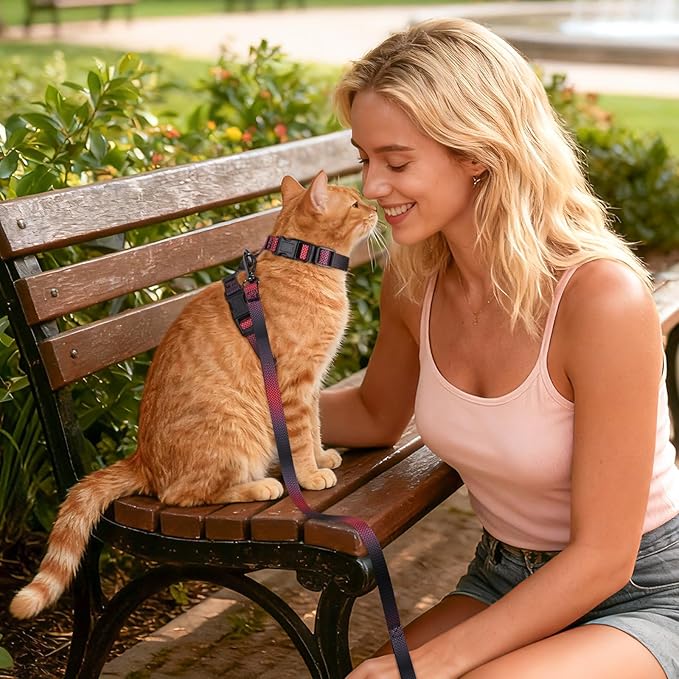 Cat Harness and Leash Set, 3-in-1 Escape Proof Adjustable, Comfortable Soft Lightweight, Safe, Easy to Wear, Walking Travel Kitten Harness for Small Medium Large Cats （Red