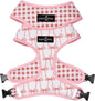 Lucy & Co. Cute Reversible Dog Harness Walking Halter - Best Designer Pet Harnesses for XS - XL Dogs - Padded Adjustable Vest for Easy Walking (X-Large, Ballet Bows - White & Pink Bows)