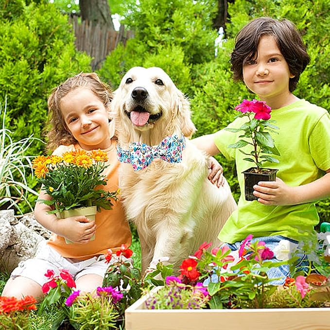 Lionheart glory Dog Collar Bow Collar Floral Dog Collar with Bow Tie Spring Summer Cute Collar Dog Boy or Girl Dog Collars Soft Durable Adjustable Dog Collars for Medium Dogs
