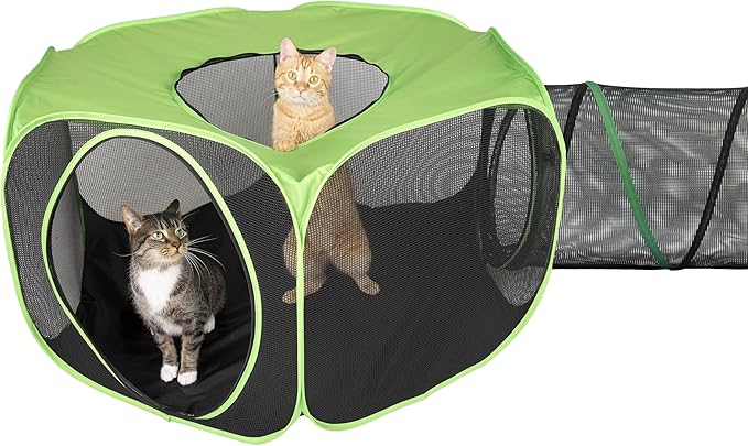 Kitty City Outdoor Catio Furniture and Play Kits for Cats, Combo/Large