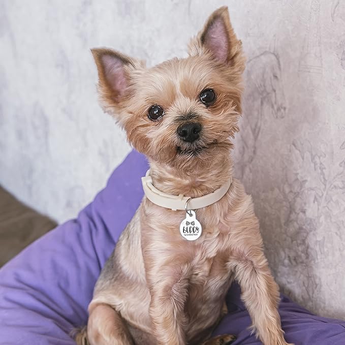 Engraved Pet ID Tags for Cats, Dogs - 4 Color & 5 Shape Options, Personalized w/ 20 Icons, Name, Address, Phone Number - Accessories for Four Legged Friends, Stainless Steel #Hexagon - Silver