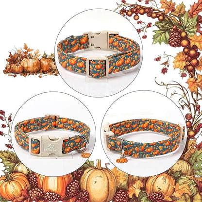 Fall Dog Collar Cute Autumn Pumpkin Puppy Collar - Light Comfortable Adjustable Pet Collars for Small Medium Large Girl Boy Dogs XS