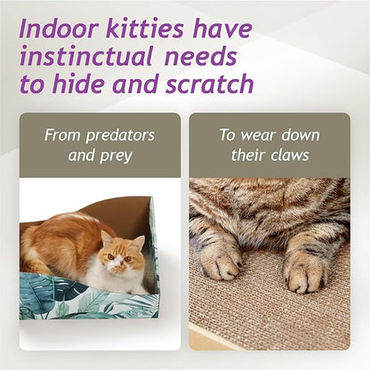 Hideaway Cat Scratcher Box for Indoor Cats - Cat Scratching Board, Horizontal Cat Scratch Pad Lounger with Reversible Usability and Extra Comfort for Lounge(Go Green)