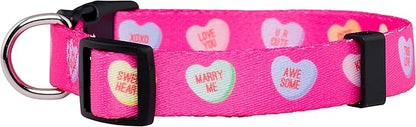 Native Pup Valentine’s Dog Collar- Valentines Day Pet Collars- Valentine Girly Hearts- Pink Red Heart- Cute Boy Girl Puppy Gift- Adjustable for Small, Medium, Large Breeds (Candy Hearts, Large)