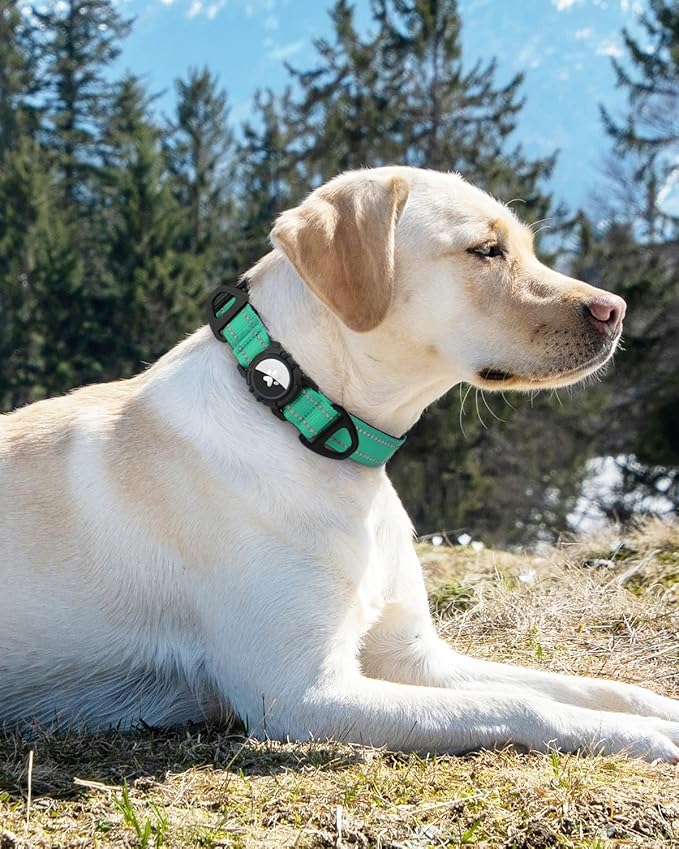 Joytale Airtag Dog Collar, Reflective Pet Collar with Waterproof AirTag Holder, Dual D-Rings, Soft Padded Adjustable for Extra Small and Puppy Dogs, Teal, XS