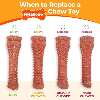 Nylabone Original & Textured Bone Power Chew Toy for Dogs, Durable & Tough Dog Toys for Aggressive Chewers, Basted Blast Bacon and Steak Flavor, X-Small Dogs - Up to 15 lbs, 2 Pack