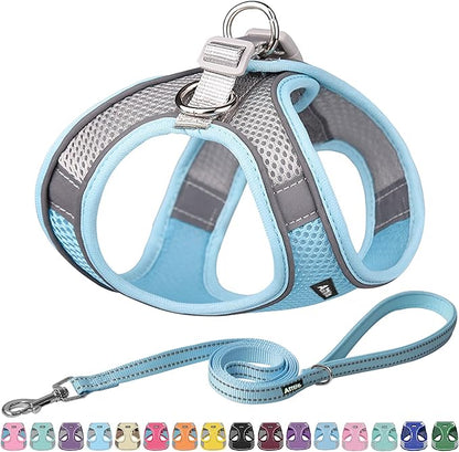 AIITLE Escape Proof Dog Harness - Step in Adjustable Dog Harness No Choke Over with Breathable Mesh and Quick-Release Buckle for All Weather- Outdoor Walking, Training for Medium Dogs Blue XL