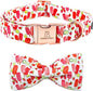 Lionheart glory Dog Collar, Dog Collar with Bow, Popsicle Print Girl or Boy Dog Bowtie Collar Cute Pet Collar Gift for Medium Dog