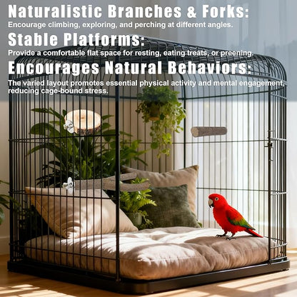 8 PCS Bird Perch Set, Natural Birch Wood Straight & Forked Perches with Platforms for Parakeets, Cockatiels, Conures, Lovebirds - Cage Accessories for Climbing & Exercise