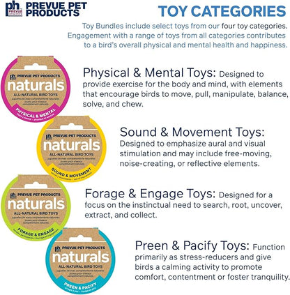 Prevue Pet Products Wholesome Naturals 4 Piece Bird Toy Bundle